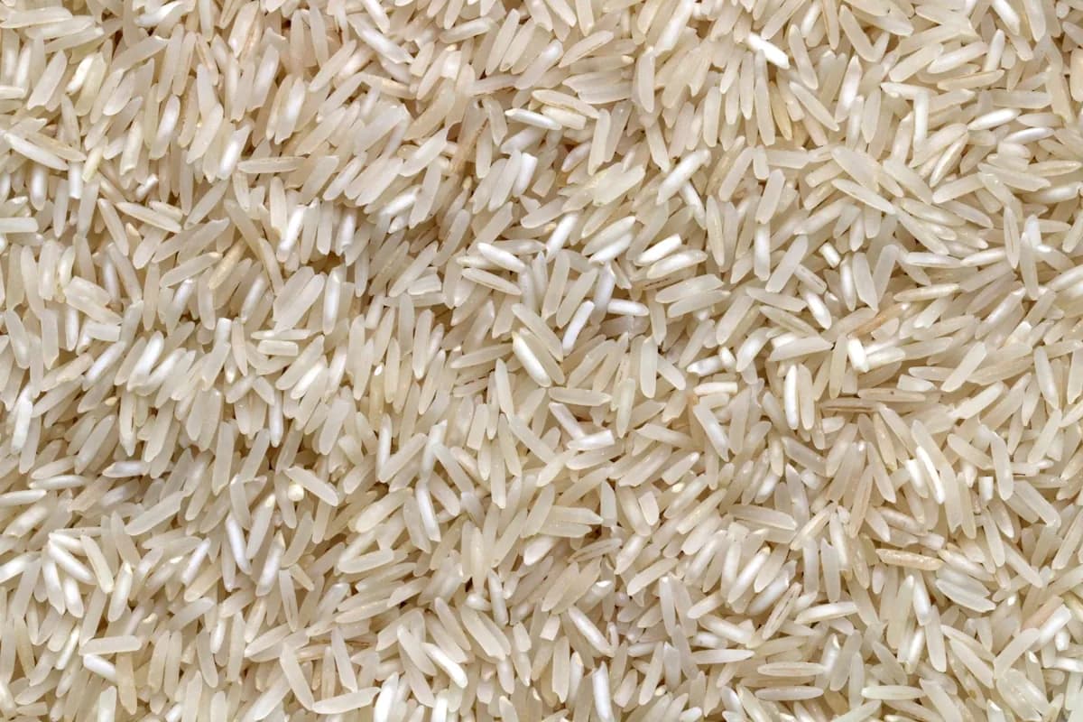 Quinoa: El Pseudocereal Sin Gluten con los 9 Aminoácidos Esenciales