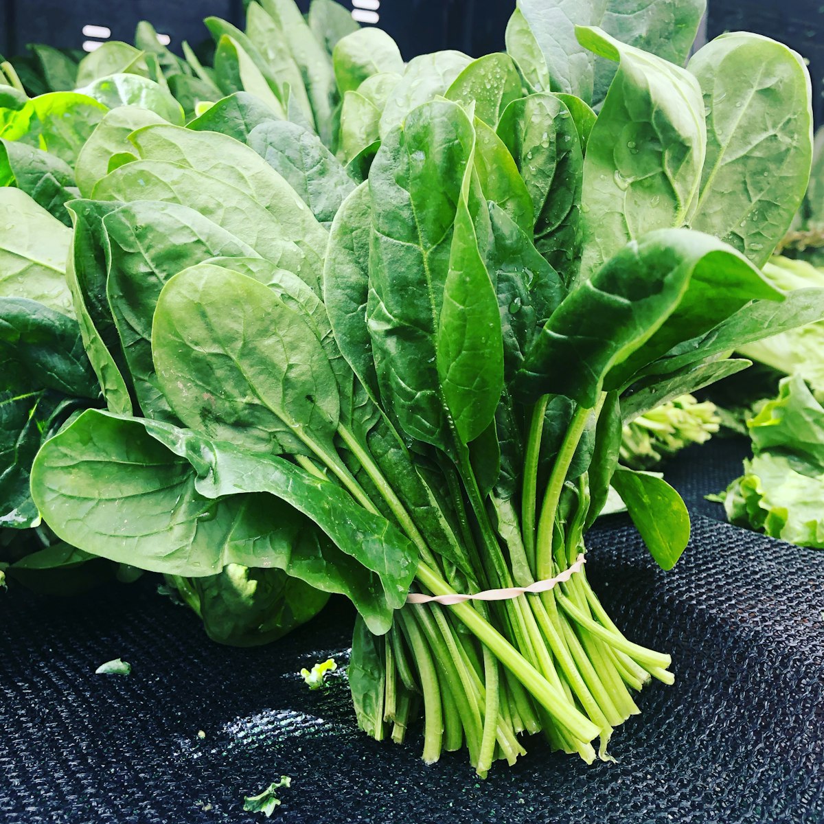 Espinacas: El Superalimento de Hoja Verde para Tu Nutrición, Energía y Salud Ósea
