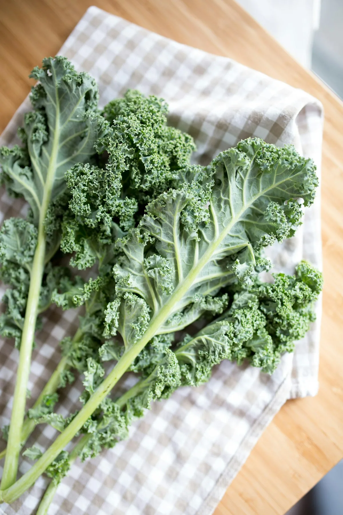 Guía Completa de la Col Rizada (Kale): Propiedades, Beneficios Antiinflamatorios y Recetas