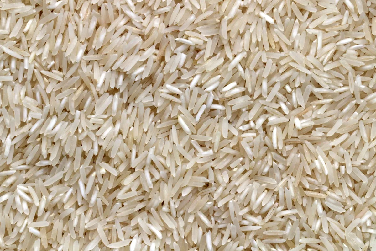 Quinoa: El Pseudocereal Sin Gluten con los 9 Aminoácidos Esenciales